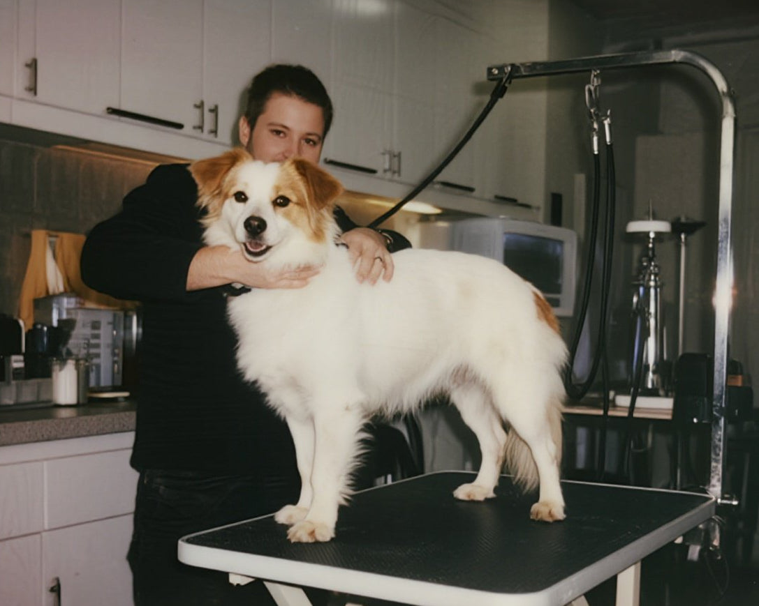 Image showcasing Amazon.com: Hydraulic Grooming Table