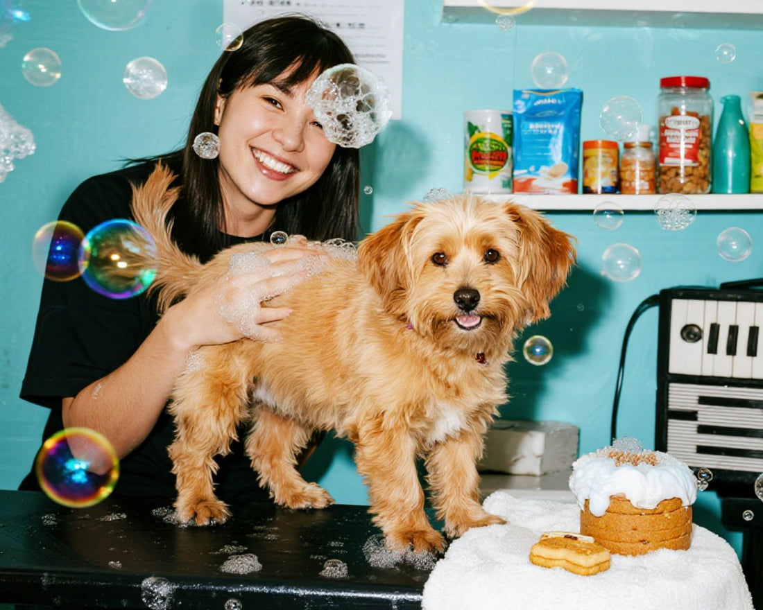 Pet Grooming Meets Playtime: Bubbles, Music, and Tasty Treats!