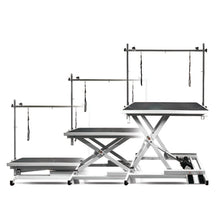 Load image into Gallery viewer, PawBest Electric Lift Grooming Table - Free shipping
