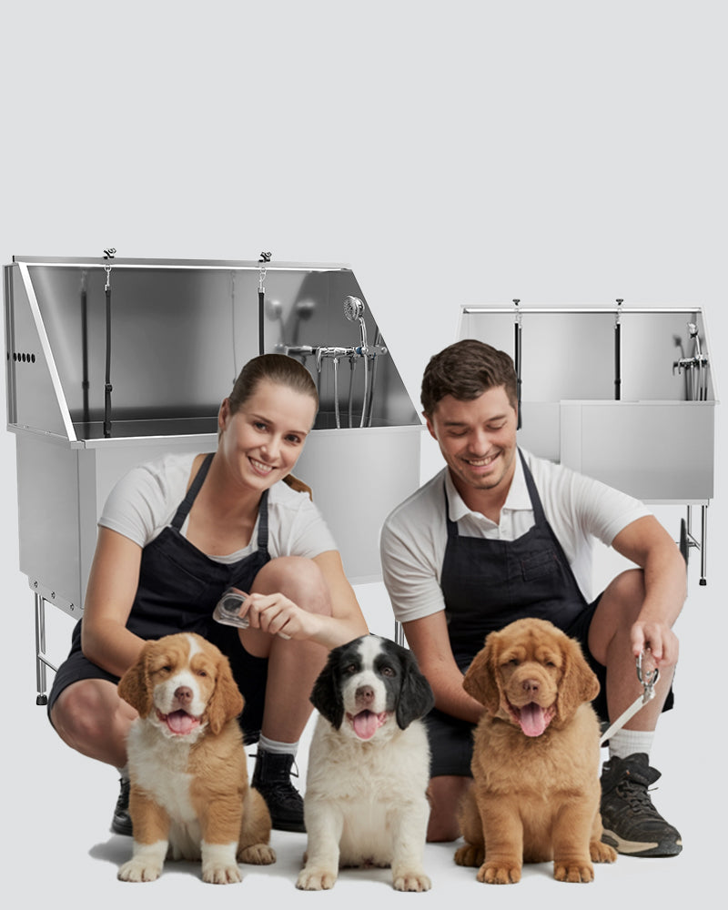 PawBest.com